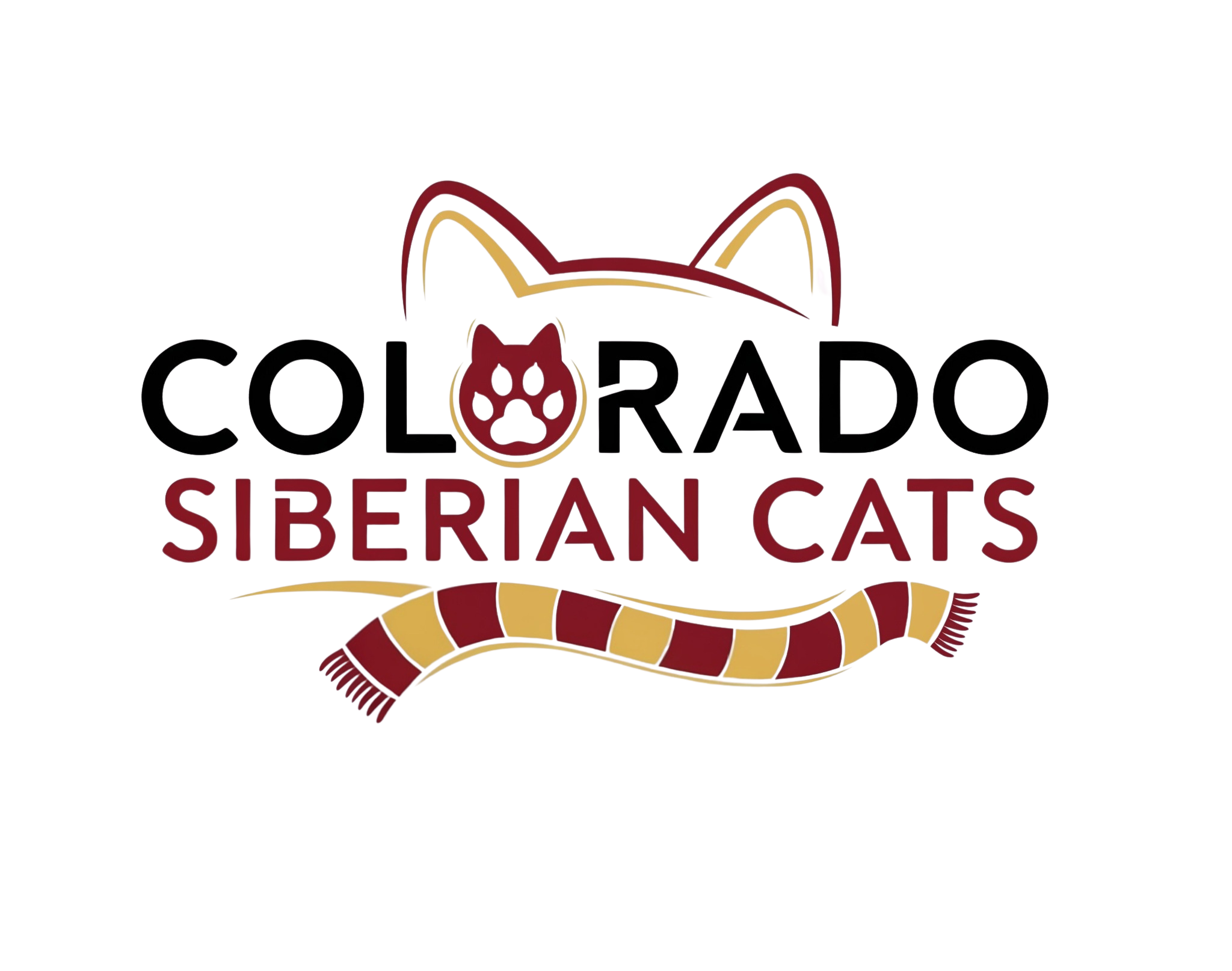 Colorado Siberian Cats Website Colorado Siberian Cats